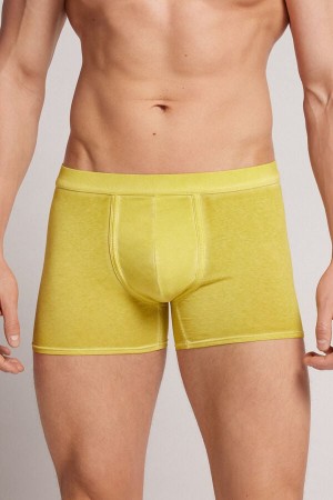 Boxer Intimissimi Natural Fresh Cotton Hombre Amarillos | ZMCH-84927